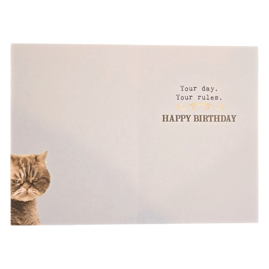 Funny Grumpy Cat Share My Cake Card