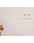 Funny Grumpy Cat Share My Cake Card