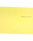 Just Cat Videos Funny Greeting Card