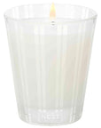 Nest New York Amalfi Lemon and Mint Candle